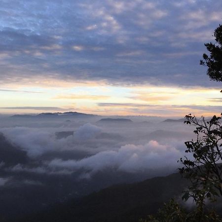 Wanakaset Forest Glamping كتولغالا المظهر الخارجي الصورة