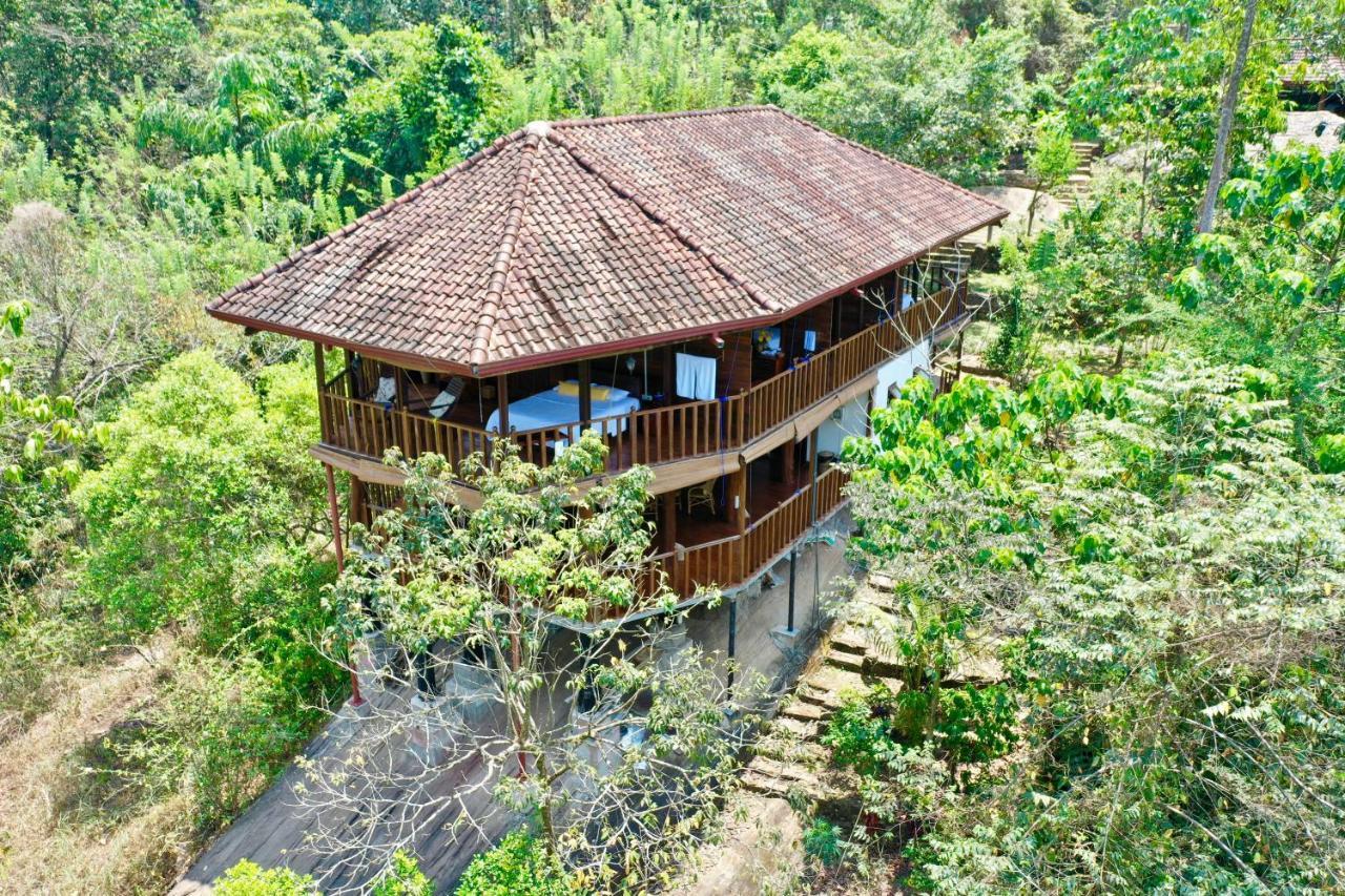 Wanakaset Forest Glamping كتولغالا المظهر الخارجي الصورة