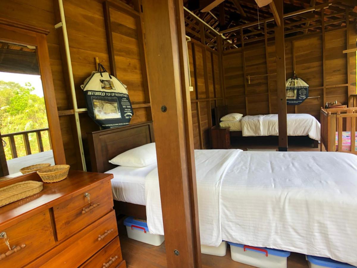 Wanakaset Forest Glamping كتولغالا المظهر الخارجي الصورة