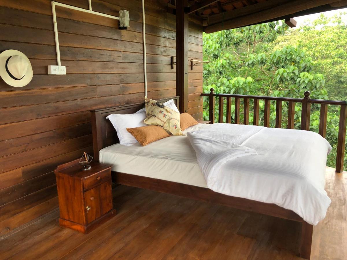 Wanakaset Forest Glamping كتولغالا المظهر الخارجي الصورة