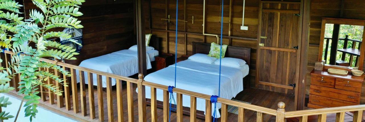 Wanakaset Forest Glamping كتولغالا المظهر الخارجي الصورة