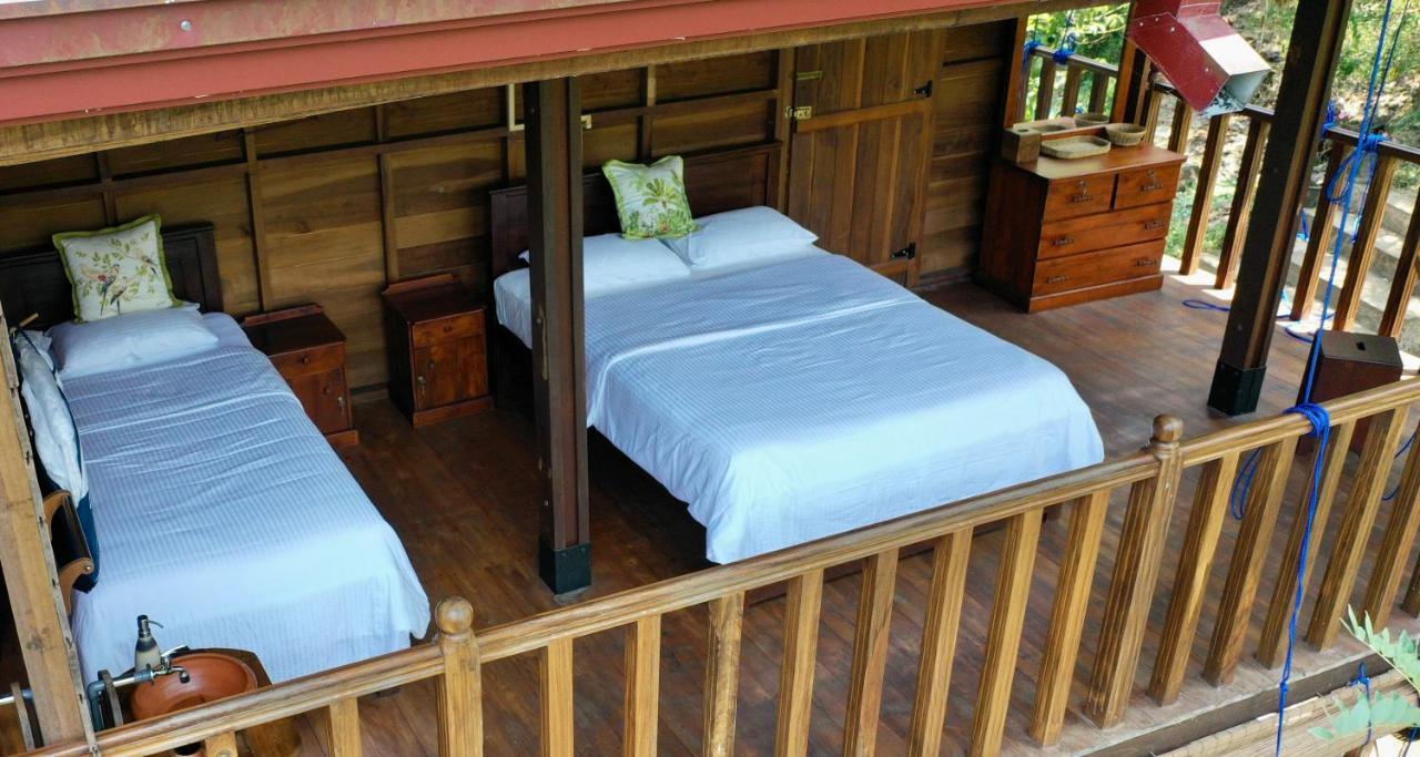 Wanakaset Forest Glamping كتولغالا المظهر الخارجي الصورة