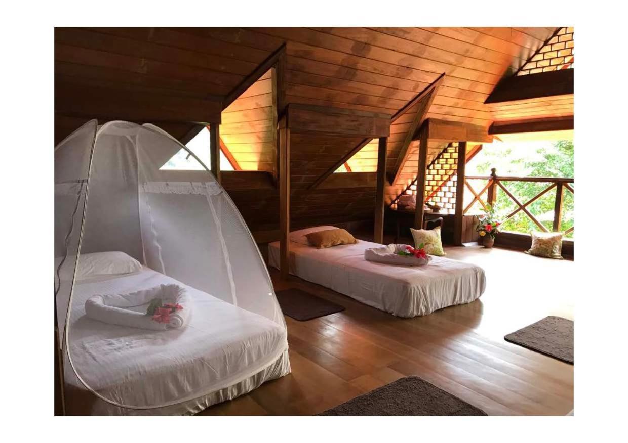 Wanakaset Forest Glamping كتولغالا المظهر الخارجي الصورة