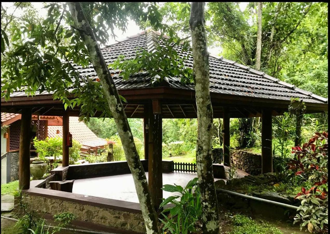 Wanakaset Forest Glamping كتولغالا المظهر الخارجي الصورة