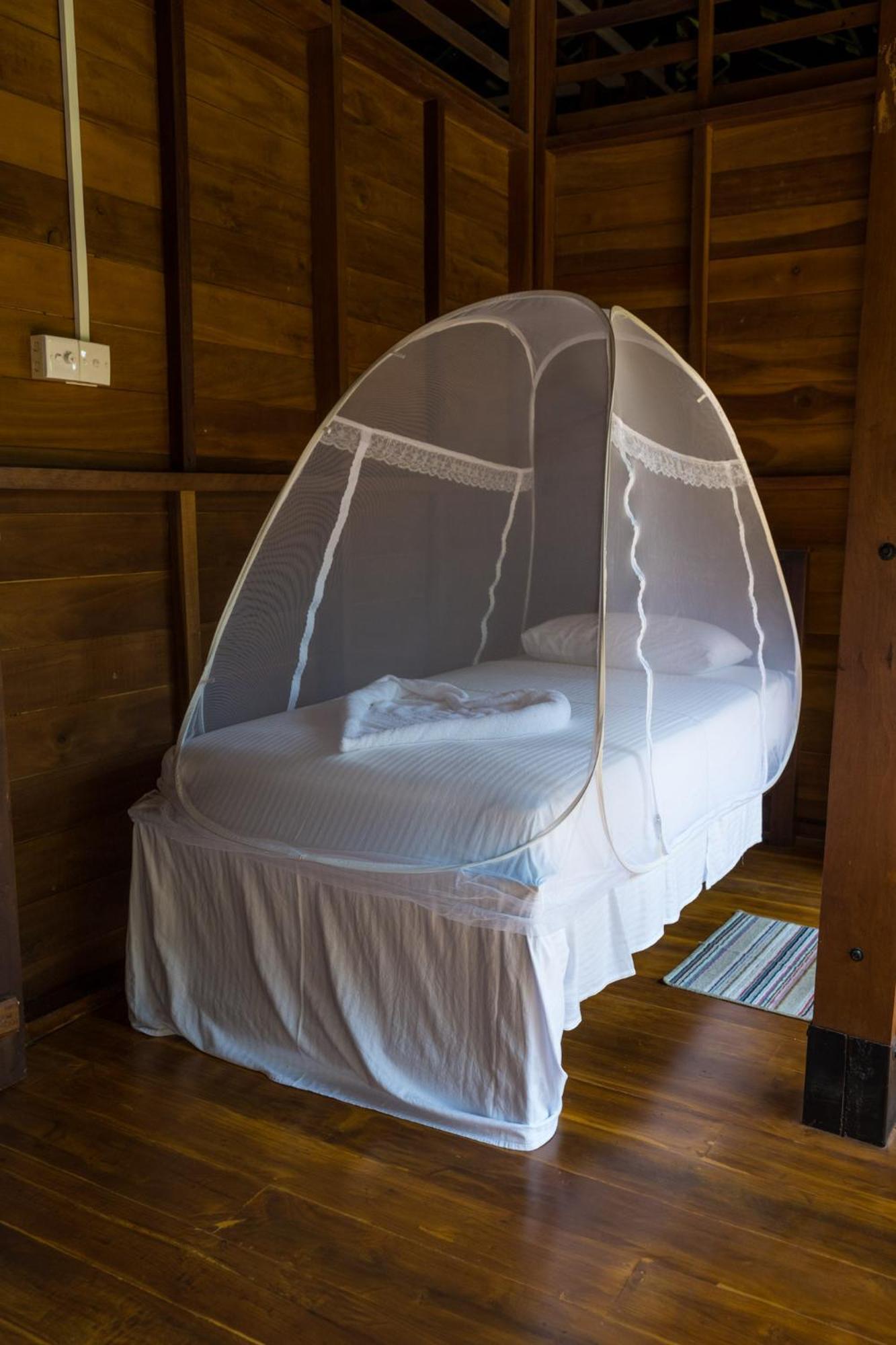 Wanakaset Forest Glamping كتولغالا المظهر الخارجي الصورة