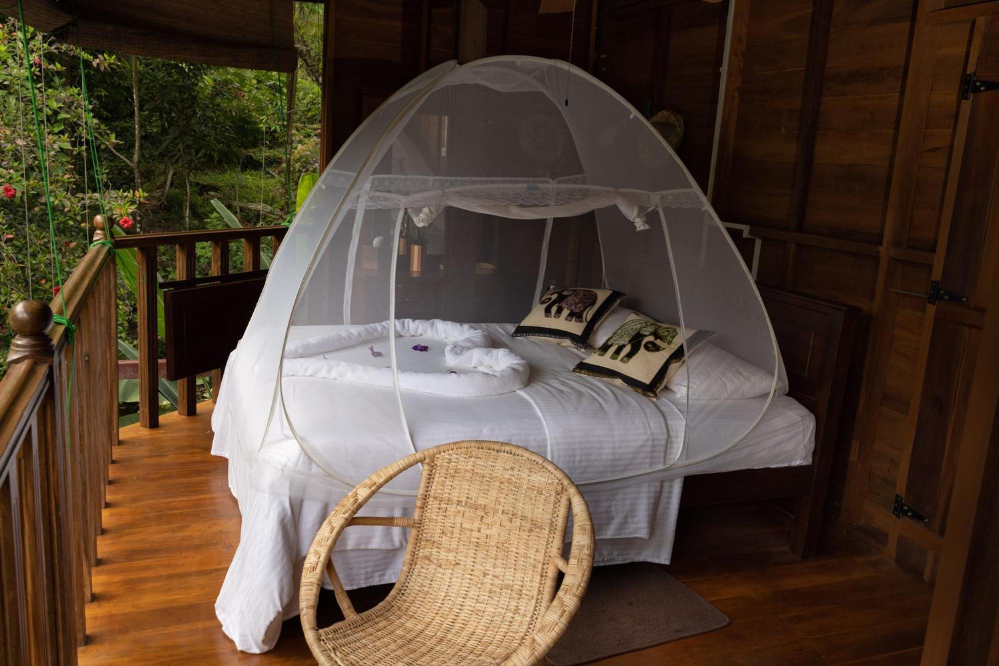 Wanakaset Forest Glamping كتولغالا المظهر الخارجي الصورة