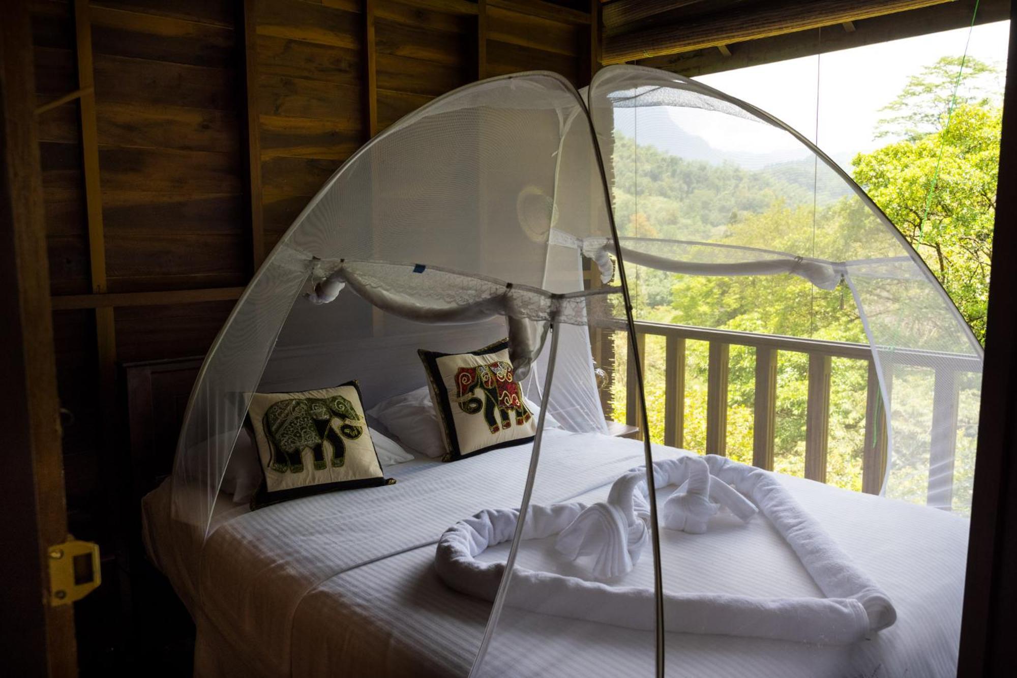 Wanakaset Forest Glamping كتولغالا المظهر الخارجي الصورة
