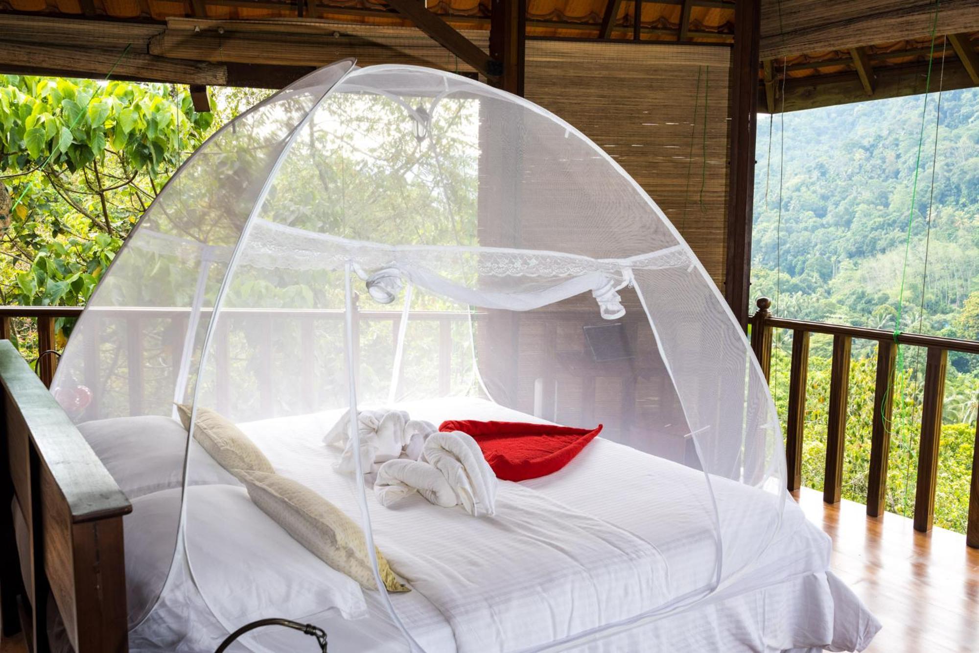 Wanakaset Forest Glamping كتولغالا المظهر الخارجي الصورة