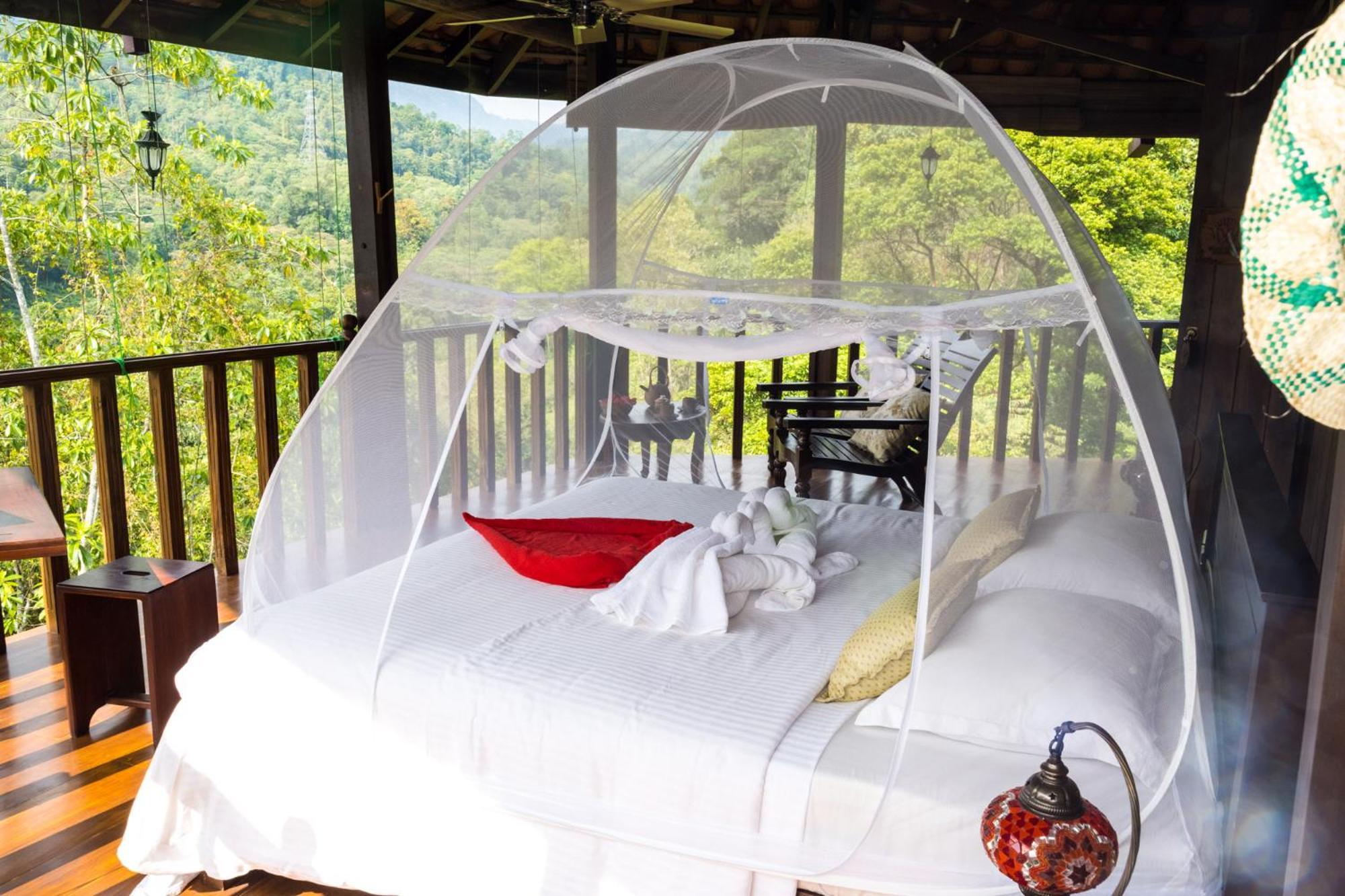 Wanakaset Forest Glamping كتولغالا المظهر الخارجي الصورة