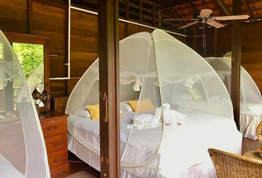 Wanakaset Forest Glamping كتولغالا المظهر الخارجي الصورة