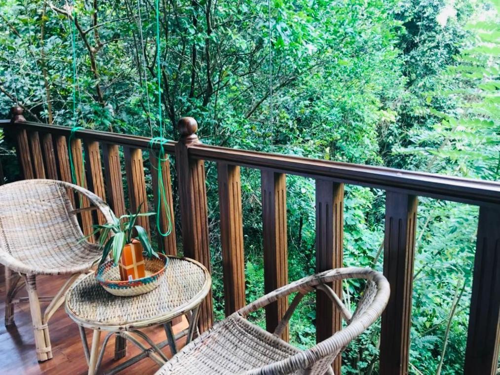 Wanakaset Forest Glamping كتولغالا المظهر الخارجي الصورة