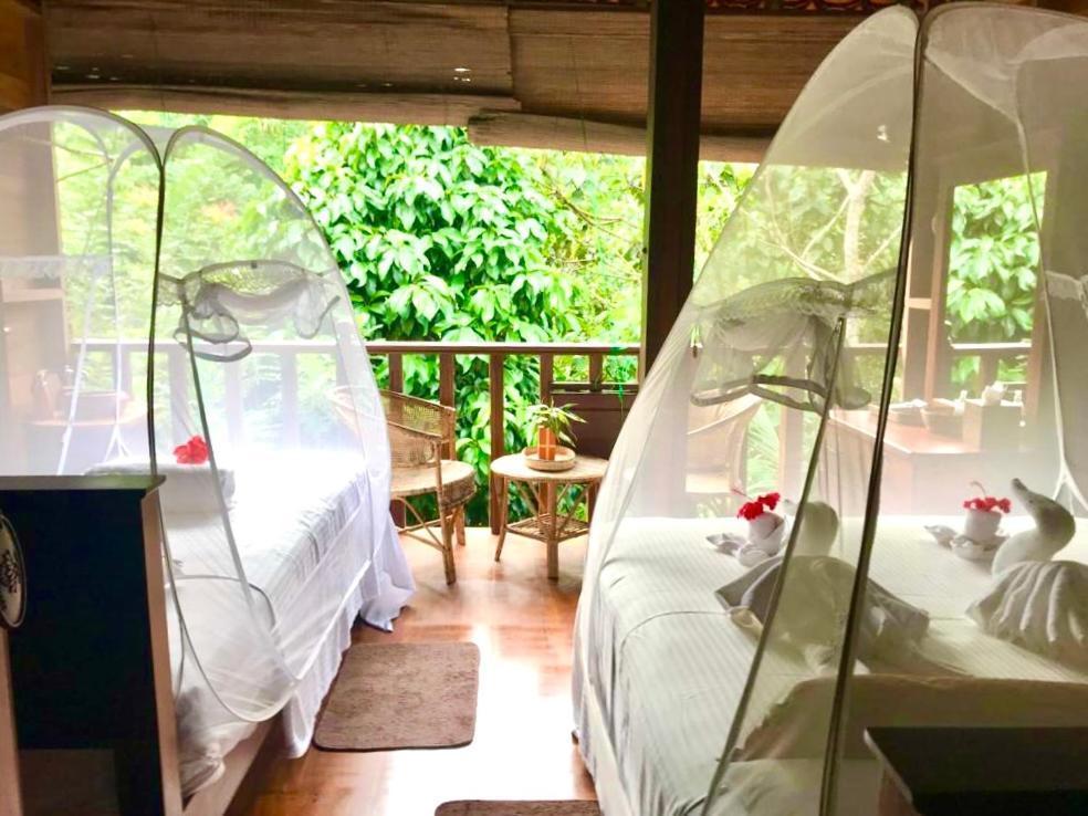Wanakaset Forest Glamping كتولغالا المظهر الخارجي الصورة