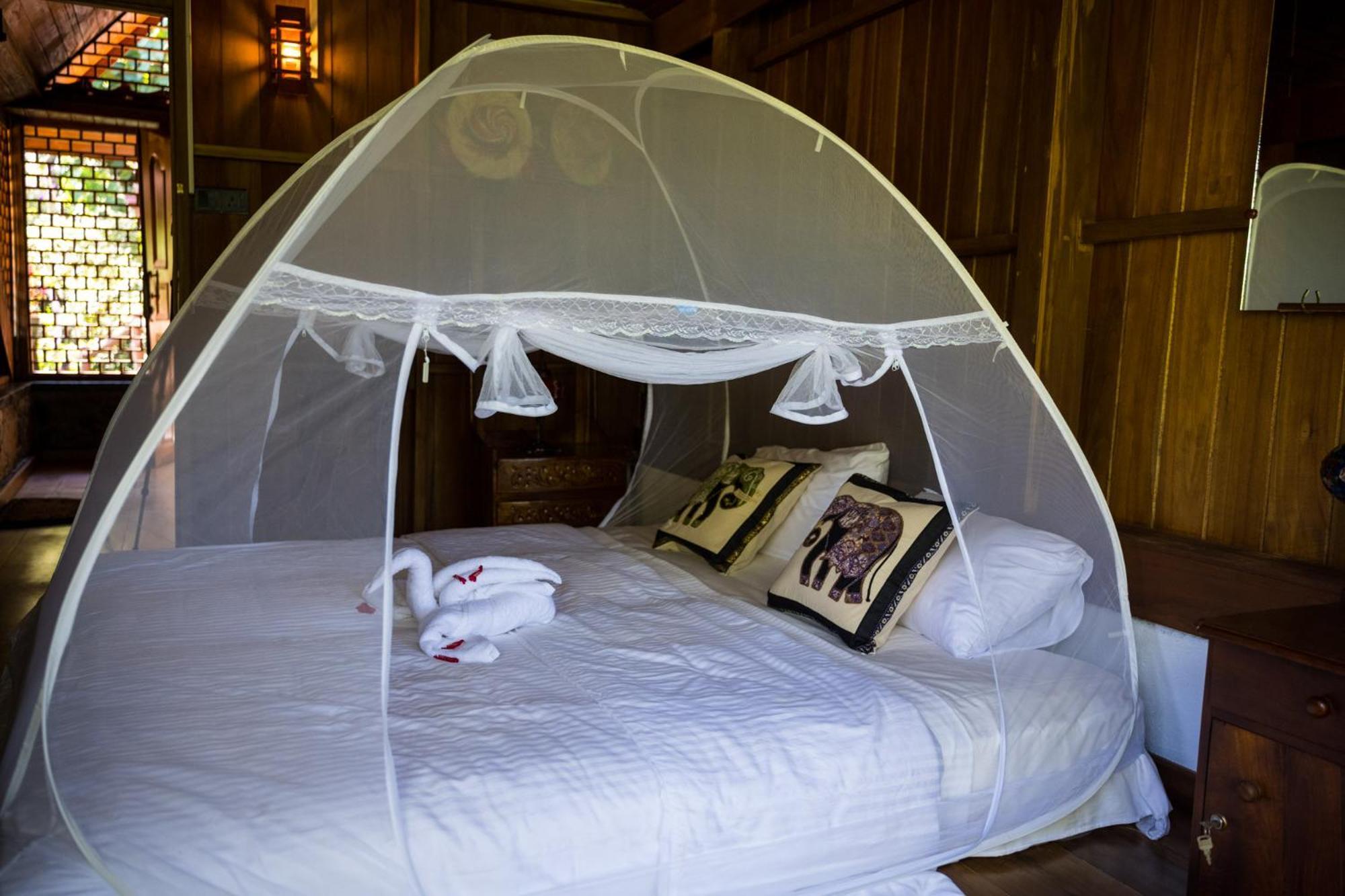 Wanakaset Forest Glamping كتولغالا المظهر الخارجي الصورة