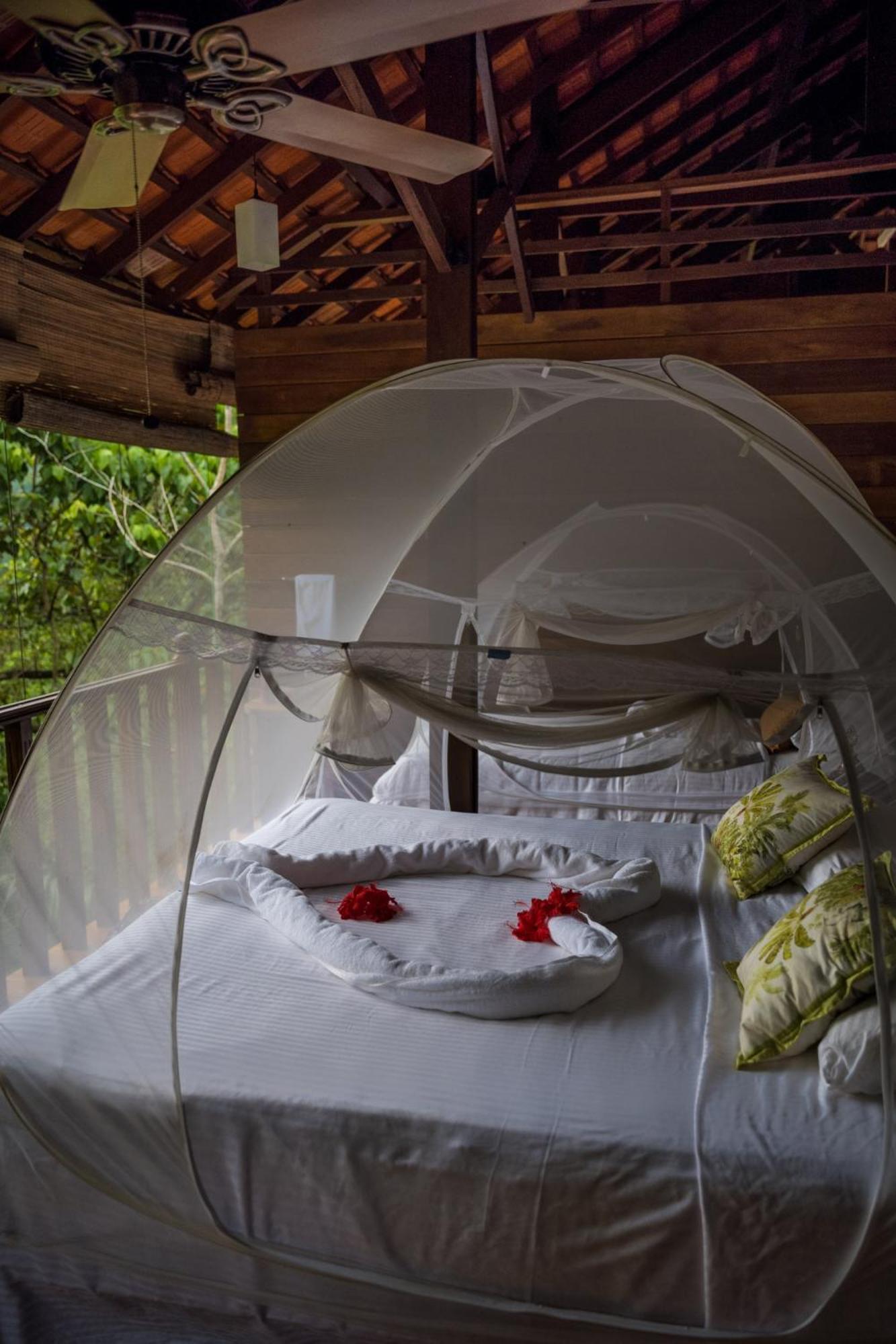 Wanakaset Forest Glamping كتولغالا المظهر الخارجي الصورة