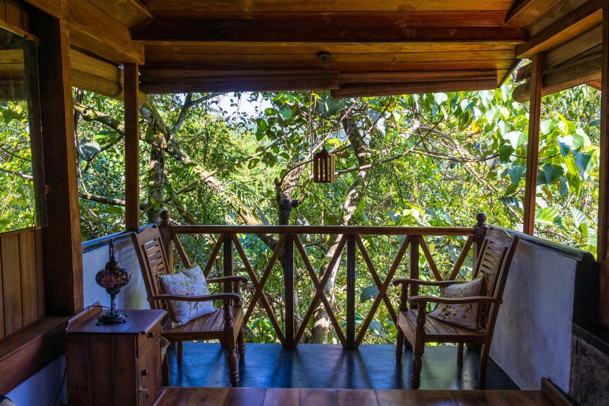 Wanakaset Forest Glamping كتولغالا المظهر الخارجي الصورة
