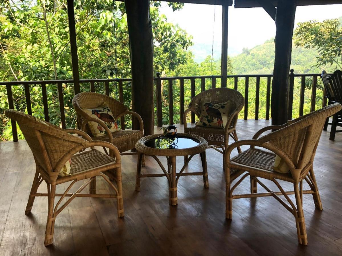 Wanakaset Forest Glamping كتولغالا المظهر الخارجي الصورة